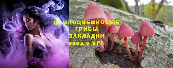ECSTASY Белоозёрский