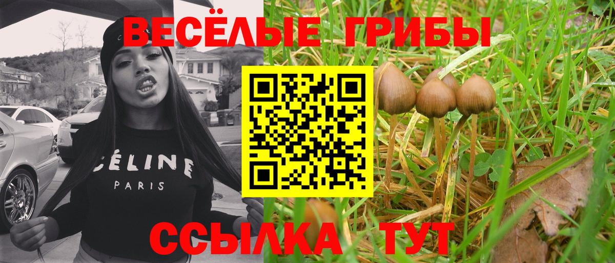 Псилоцибиновые грибы мухоморы  Вход с VPN  Кувандык 